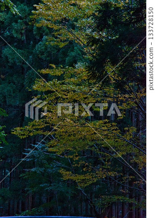仙之瀨山登山風景 仙之瀨山登山風景 133728150