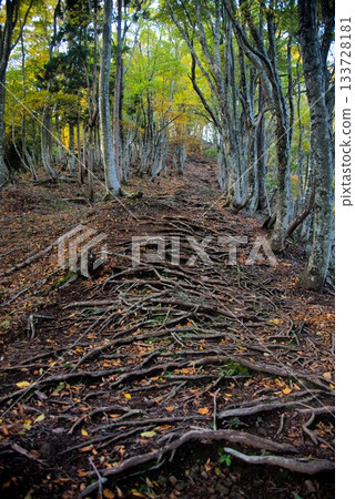 Mt. Hyonose Mountain Climbing Scenery Mt. Hyonose Mountain Climbing Scenery 133728181