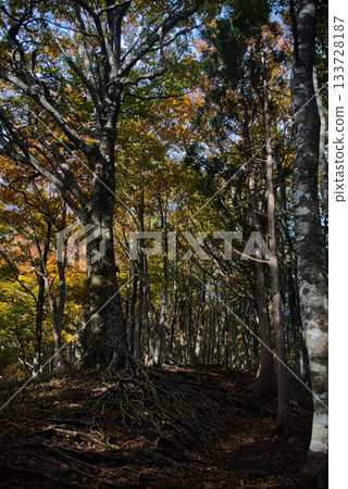 Mt. Hyonose Mountain Climbing Scenery Mt. Hyonose Mountain Climbing Scenery 133728187