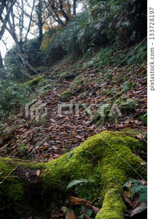 仙之瀨山登山風景 仙之瀨山登山風景 133728197