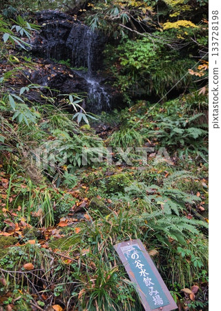 Mt. Hyonose Mountain Climbing Scenery Mt. Hyonose Mountain Climbing Scenery 133728198