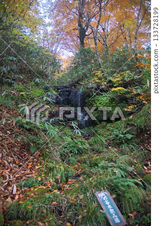 仙之瀨山登山風景 仙之瀨山登山風景 133728199