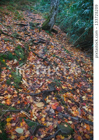 仙之瀨山登山風景 仙之瀨山登山風景 133728209