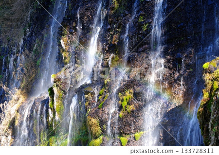 Shiraito Falls, where meltwater from Mt. Fuji springs forth 133728311