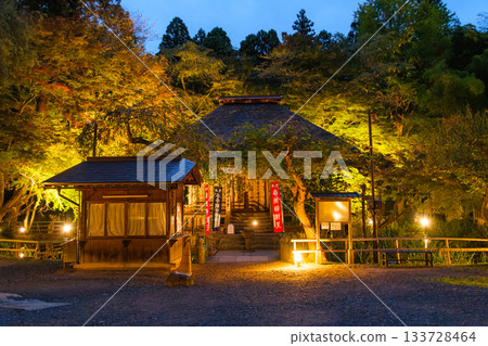 Autumn illumination of Benzaiten Hall at Chusonji Temple in Hiraizumi Town, Iwate Prefecture 133728464
