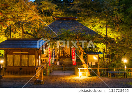 岩手縣平泉町中尊寺弁財天殿的秋季燈光秀 岩手縣平泉町中尊寺弁財天殿的秋季燈光秀 133728465