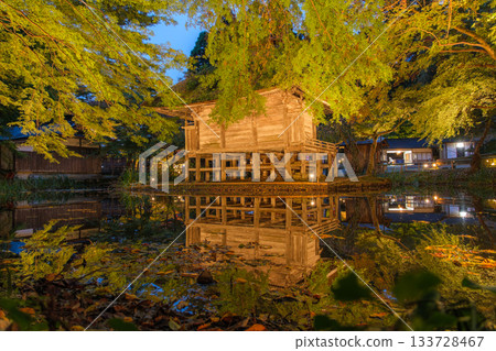 Autumn illumination of Benzaiten Hall at Chusonji Temple in Hiraizumi Town, Iwate Prefecture 133728467
