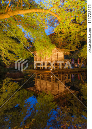 Autumn illumination of Benzaiten Hall at Chusonji Temple in Hiraizumi Town, Iwate Prefecture 133728473