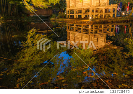 Autumn illumination of Benzaiten Hall at Chusonji Temple in Hiraizumi Town, Iwate Prefecture 133728475