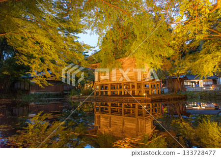 岩手縣平泉町中尊寺弁財天殿的秋季燈光秀 岩手縣平泉町中尊寺弁財天殿的秋季燈光秀 133728477