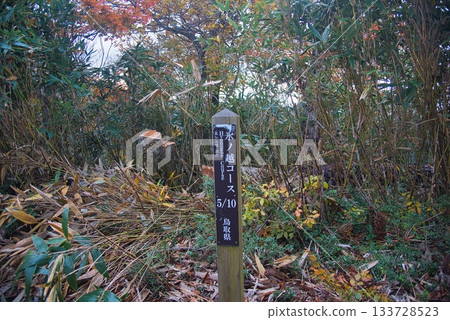 仙之瀨山登山風景 133728523