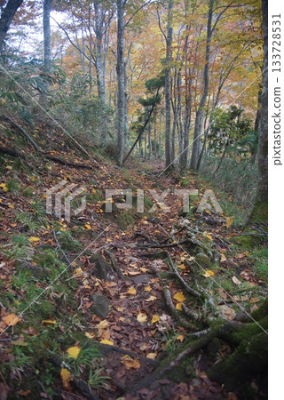 仙之瀨山登山風景 133728531