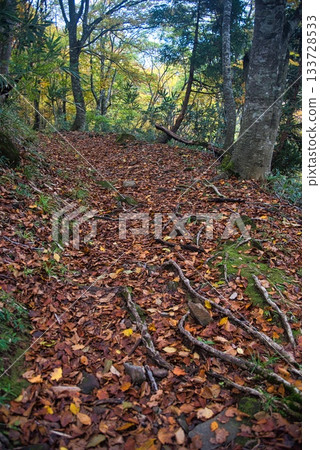 仙之瀨山登山風景 仙之瀨山登山風景 133728533