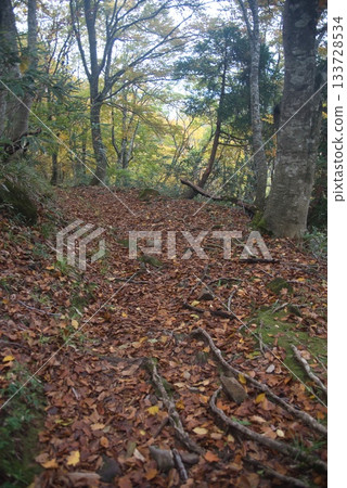 仙之瀨山登山風景 仙之瀨山登山風景 133728534