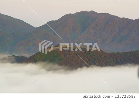 Mysterious scenery of Takeda Castle ruins floating in a sea of clouds 133728582