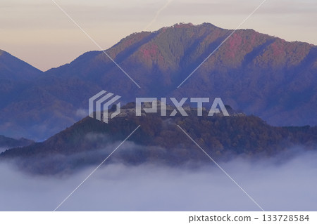 武田城遺址神秘地漂浮在雲海之中 133728584