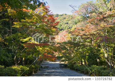 Ogurayama Nison-in Temple - Autumn leaves starting to change color 7 Ogurayama Nison-in Temple - Autumn leaves starting to change color 7 133728782