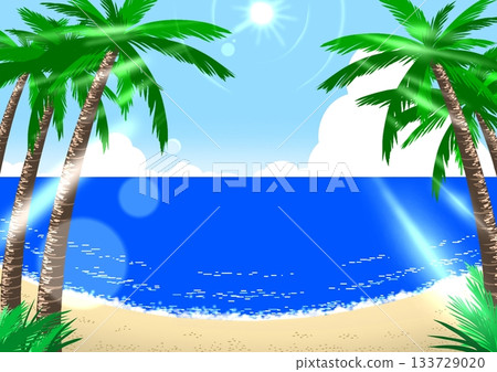 Tropical sandy beach Tropical sandy beach 133729020