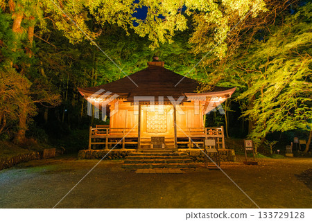 Illuminated sutra repository at Chusonji Temple in autumn in Hiraizumi, Iwate Prefecture Illuminated sutra repository at Chusonji Temple in autumn in Hiraizumi, Iwate Prefecture 133729128