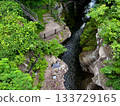 A hidden waterfall surrounded by fresh greenery 133729165