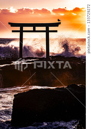 Oarai Isosaki Shrine Wave Splash Oarai Isosaki Shrine Wave Splash 133729272