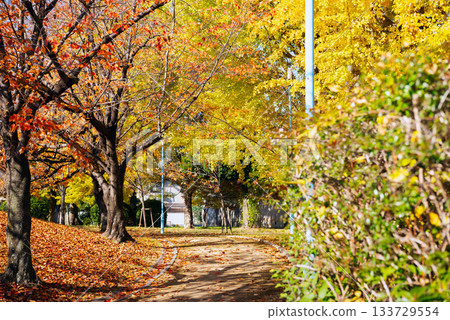 太石橋公園的秋天 太石橋公園的秋天 133729554