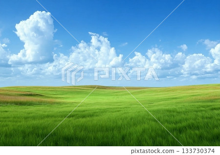 Landscape view of green grass field with blue sky background. 133730374