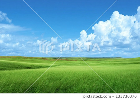 Landscape view of green grass field with blue sky background. Landscape view of green grass field with blue sky background. 133730376