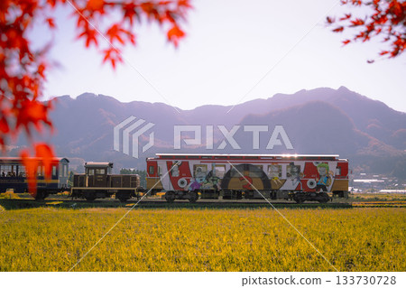 南亞索電車 + 海賊王與秋葉 133730728