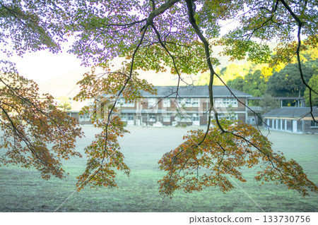 Akizuki Elementary School in the early morning, beyond the autumn leaves 133730756