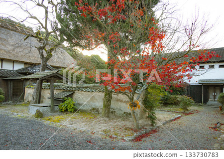 秋月的秋葉和古老的建築 133730783