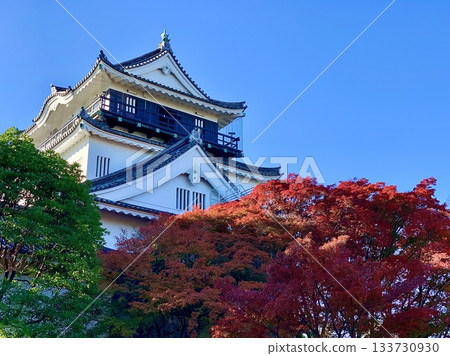 仰望藍天與紅葉交相輝映的岡崎城天守閣(愛知縣岡崎市岡崎城公園) 仰望藍天與紅葉交相輝映的岡崎城天守閣(愛知縣岡崎市岡崎城公園) 133730930