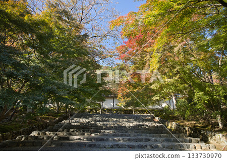 Ogurayama Nison-in Temple - Autumn leaves starting to change color 16 Ogurayama Nison-in Temple - Autumn leaves starting to change color 16 133730970