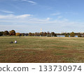 View of the Washington Monument from across the vast lawn 133730974