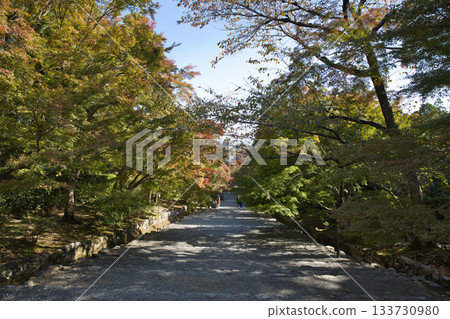 Ogurayama Nison-in Temple - Autumn leaves starting to change color 17 Ogurayama Nison-in Temple - Autumn leaves starting to change color 17 133730980