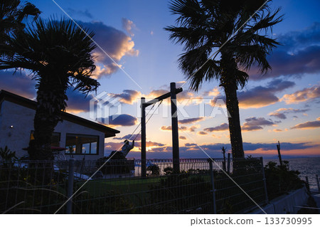 [Happy Pancake Awajishima Terrace] Big Swing 133730995