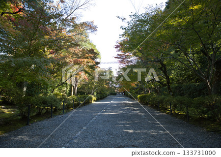 小倉山二尊 - 秋葉開始變色 19 133731000