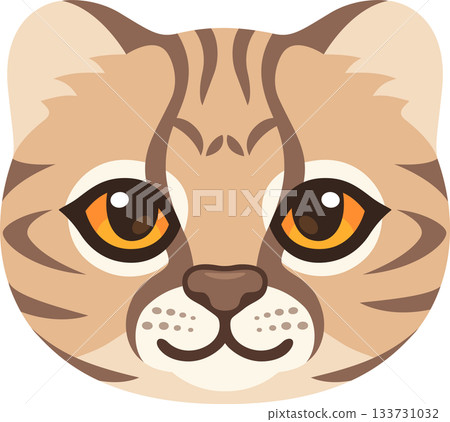 Cartoon wild Kodkod cat face Cartoon wild Kodkod cat face 133731032