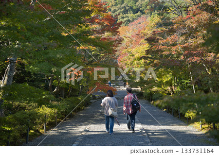 小倉山二尊 - 秋葉開始變色 25 小倉山二尊 - 秋葉開始變色 25 133731164