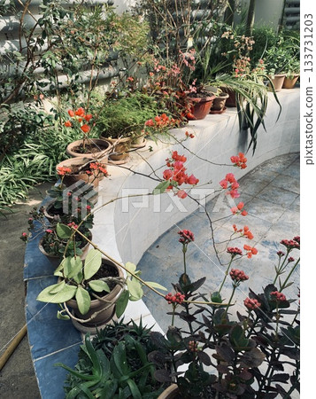 urban garden revival, restored balcony with plants, charming city balcony featuring aged planters urban garden revival, restored balcony with plants, charming city balcony featuring aged planters 133731203