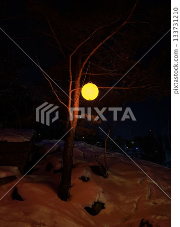 illuminated lantern scene, gentle glowing lantern enhances serene natural environment portrayal illuminated lantern scene, gentle glowing lantern enhances serene natural environment portrayal 133731210