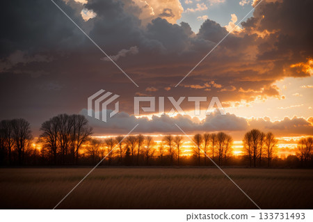 a plain of beautiful autumn landscape, forest and ground on horizon at sunset, yellow trees and sunlight,dramatic clouds and sky a plain of beautiful autumn landscape, forest and ground on horizon at sunset, yellow trees and sunlight,dramatic clouds and sky 133731493