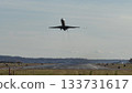 A passenger plane ascending from the runway 133731617