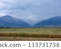 Landscape with a field of ripe oats against the backdrop of majestic mountains 133731738
