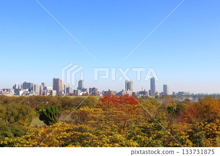 秋日荒川河畔:湘南新宿線跨過荒川橋 秋日荒川河畔:湘南新宿線跨過荒川橋 133731875