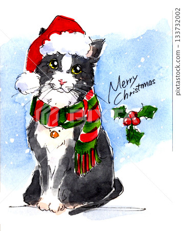聖誕插畫,一隻黑白貓戴著聖誕帽和圍巾 聖誕插畫,一隻黑白貓戴著聖誕帽和圍巾 133732002