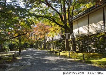 小倉山二尊院：通往寺廟的道路風景優美，陽光透過樹木灑下斑駁的光影。 133732067