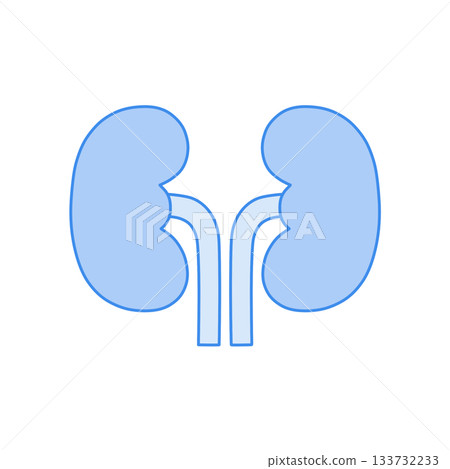 藍色單色腎臟插圖 133732233