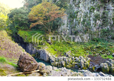 [宮崎縣]高千穗峽 133732488
