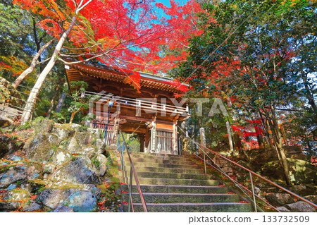 [Kagawa Prefecture] Okuboji Temple, the 88th temple of the Shikoku Pilgrimage, with its autumn foliage 133732509